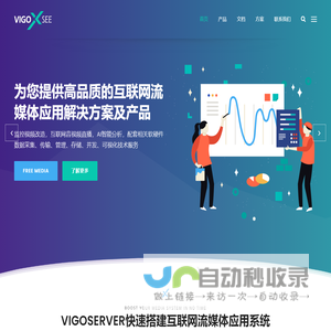 VIGOSEE