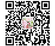 橡胶地垫_健身房橡胶地垫厂家_廊坊市安次区杨税务橡胶地垫厂